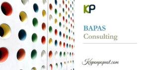 bapas-consulting-kupon-popust